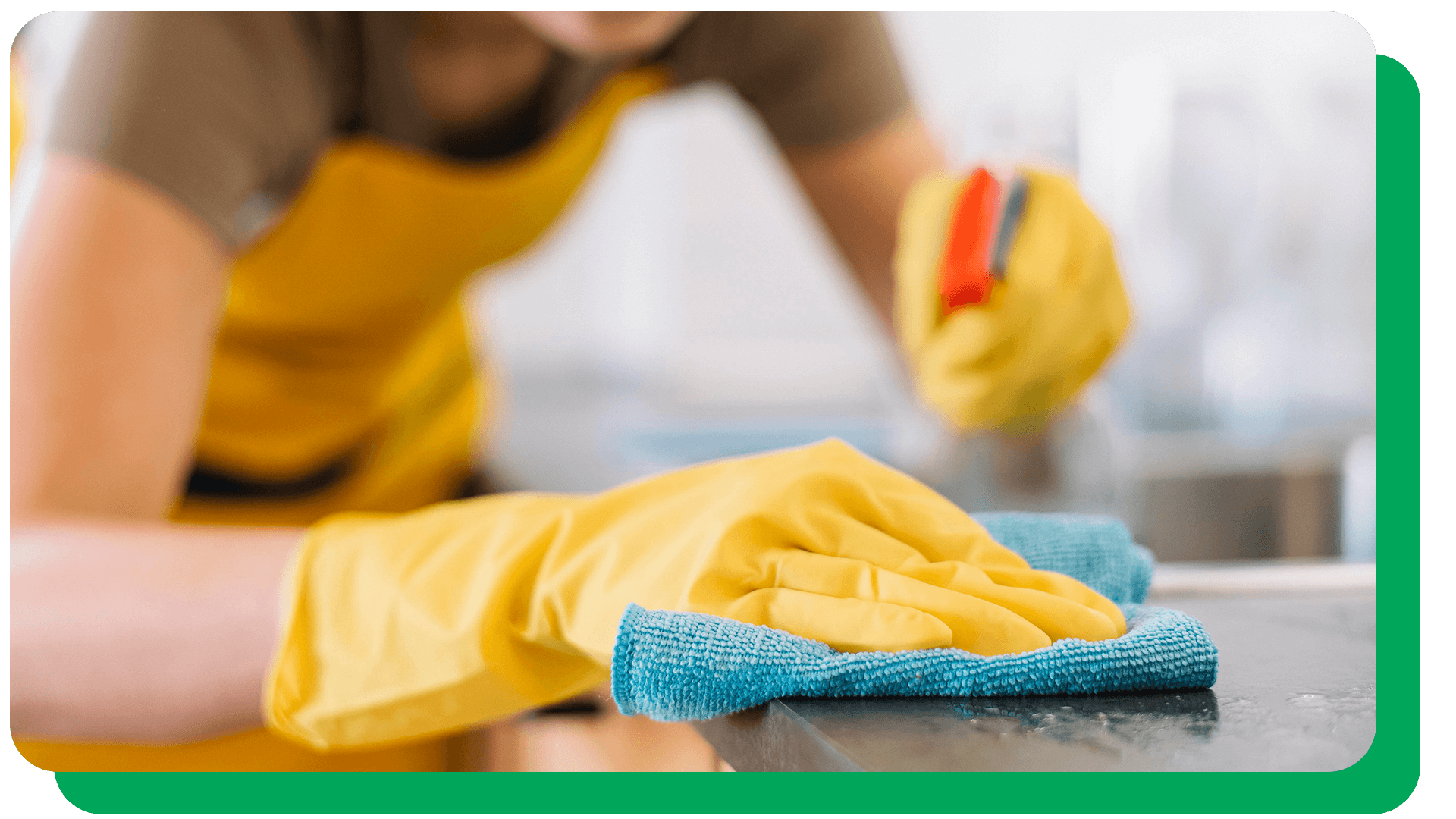 pest control services